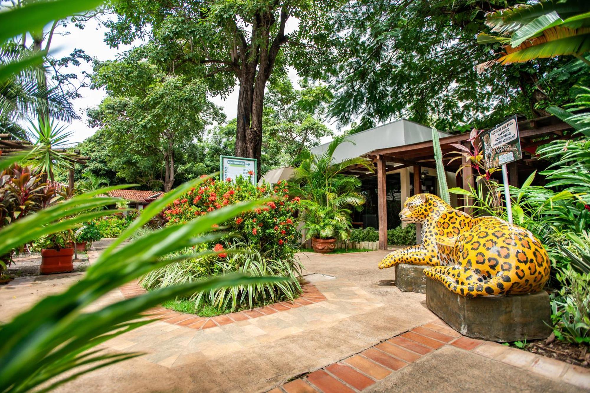 Fazenda Mato Grosso Hotel