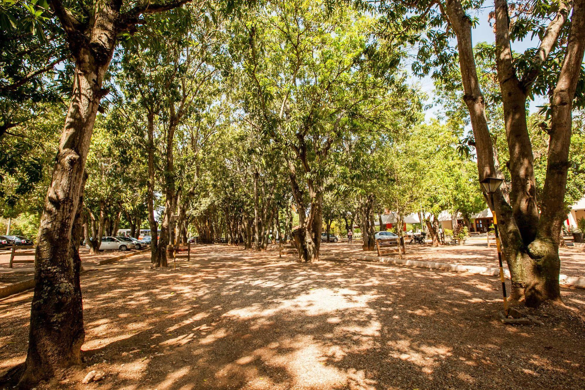 Fazenda Mato Grosso 3*